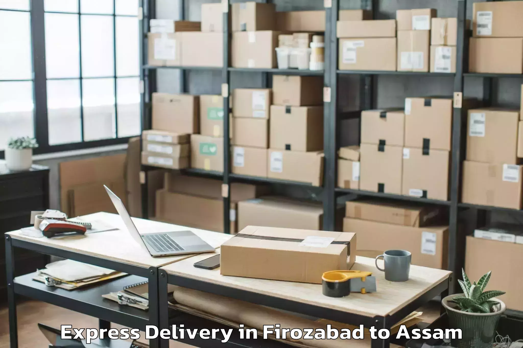 Leading Firozabad to Tamarhat Express Delivery Provider